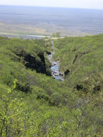 scenary on our Skaftafell Nature preserve hike